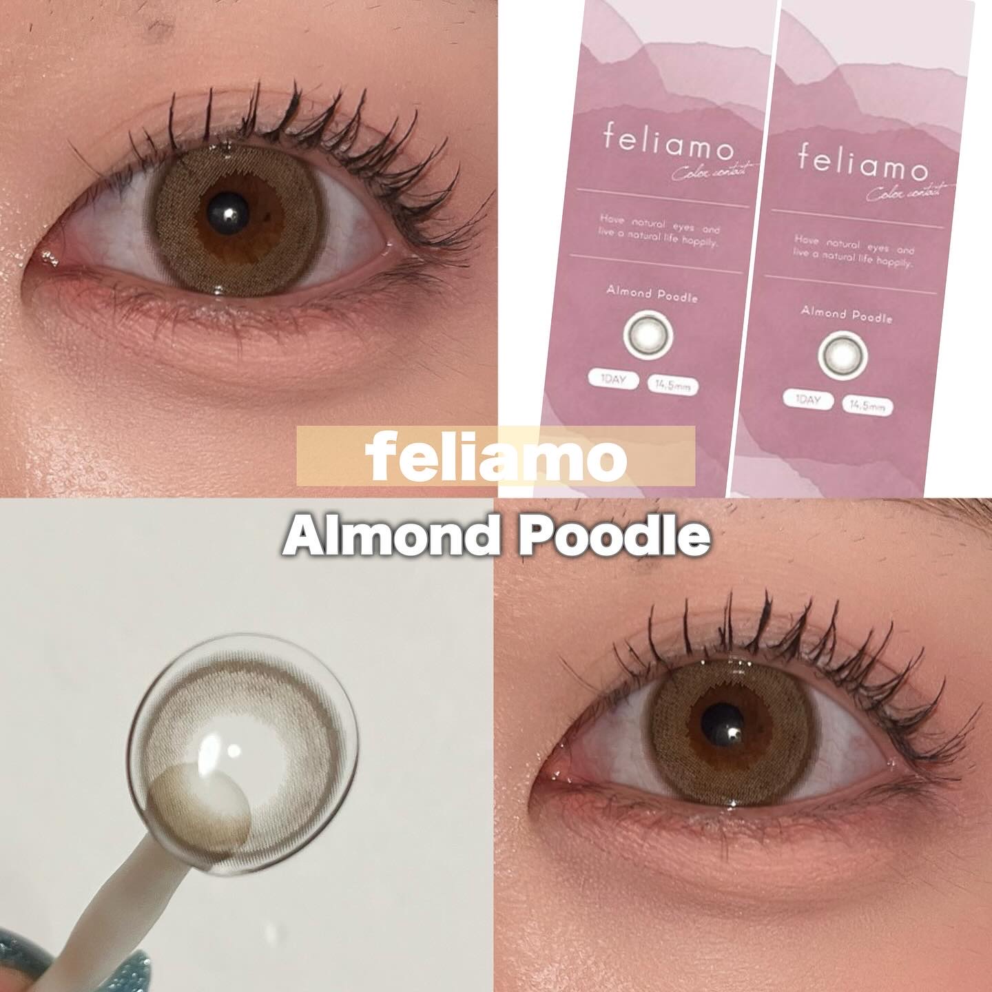 ＼透明感🫧白っぽブラウンレンズ／

.
feliamo
アーモンドプードル
¥1760(税込)/10枚
.

DIA 14.5mm
着色直径 13.7mm
BC 8.6mm
含水率 55%

細フチ×白っぽブラウン

ナチュラルな淡いブラ