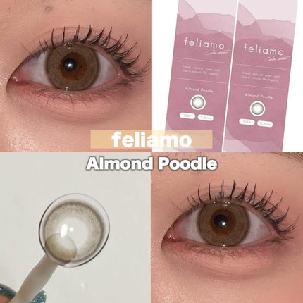 feliamo 1day アーモンドプードル/feliamo/ワンデー(1DAY)カラコンの画像