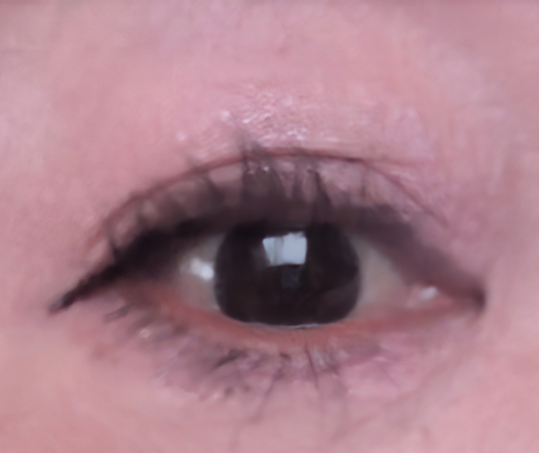 ハイパーリフトマスカラ/D-UP/マスカラを使ったクチコミ（2枚目）