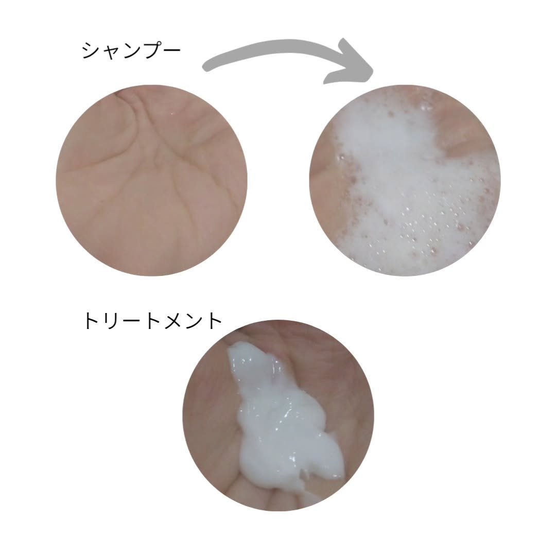 スカルプシャンプー/ トリートメント タイプ MS シャンプー 300ml/DEMI DO/サロンシャンプーを使ったクチコミ（2枚目）