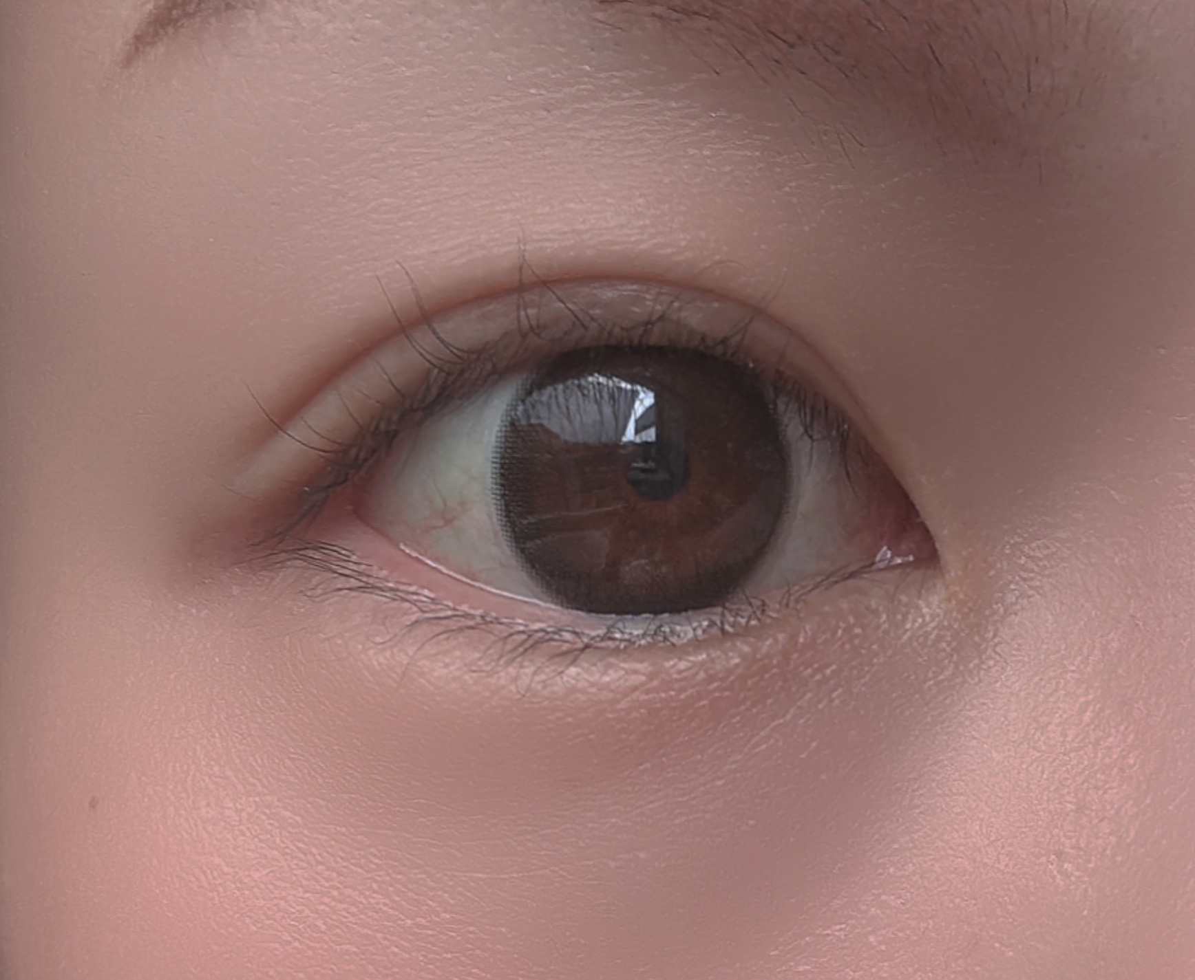 VELVETEAR/VELVETEAR/ワンデー（１DAY）カラコンを使ったクチコミ（3枚目）