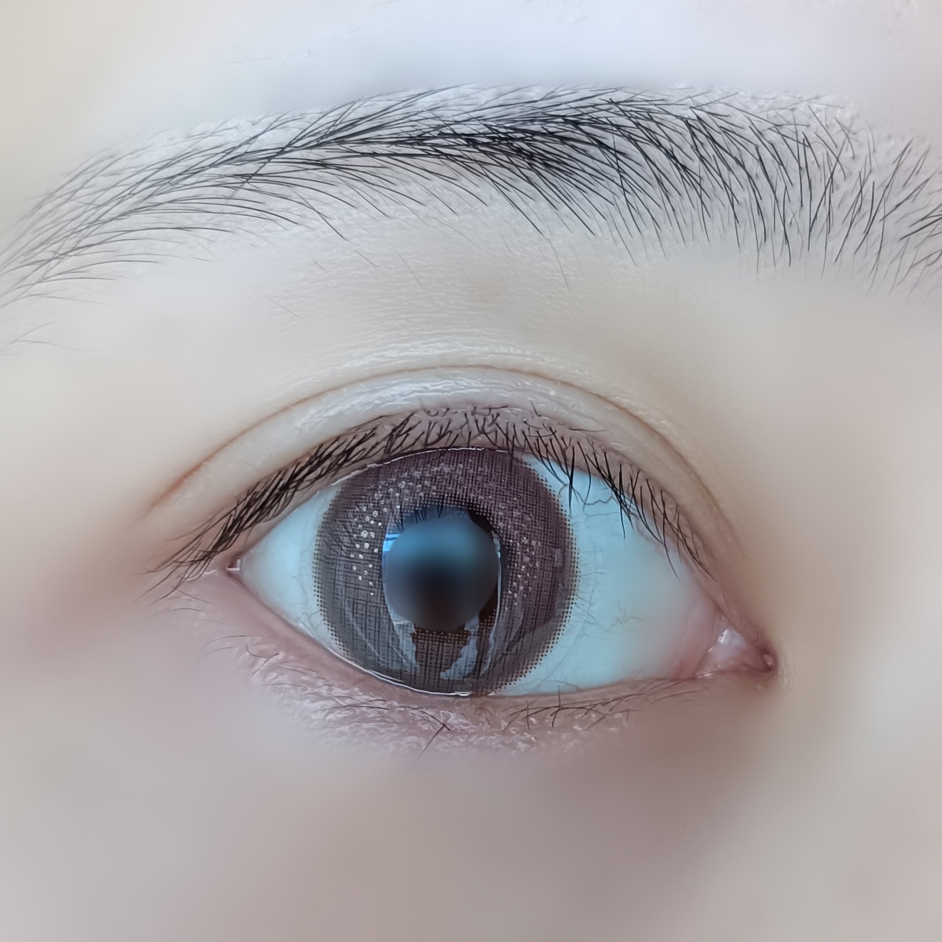 フェアリー ワンデー シマーリングシリーズ/FAIRY/ワンデー（１DAY）カラコンを使ったクチコミ（3枚目）