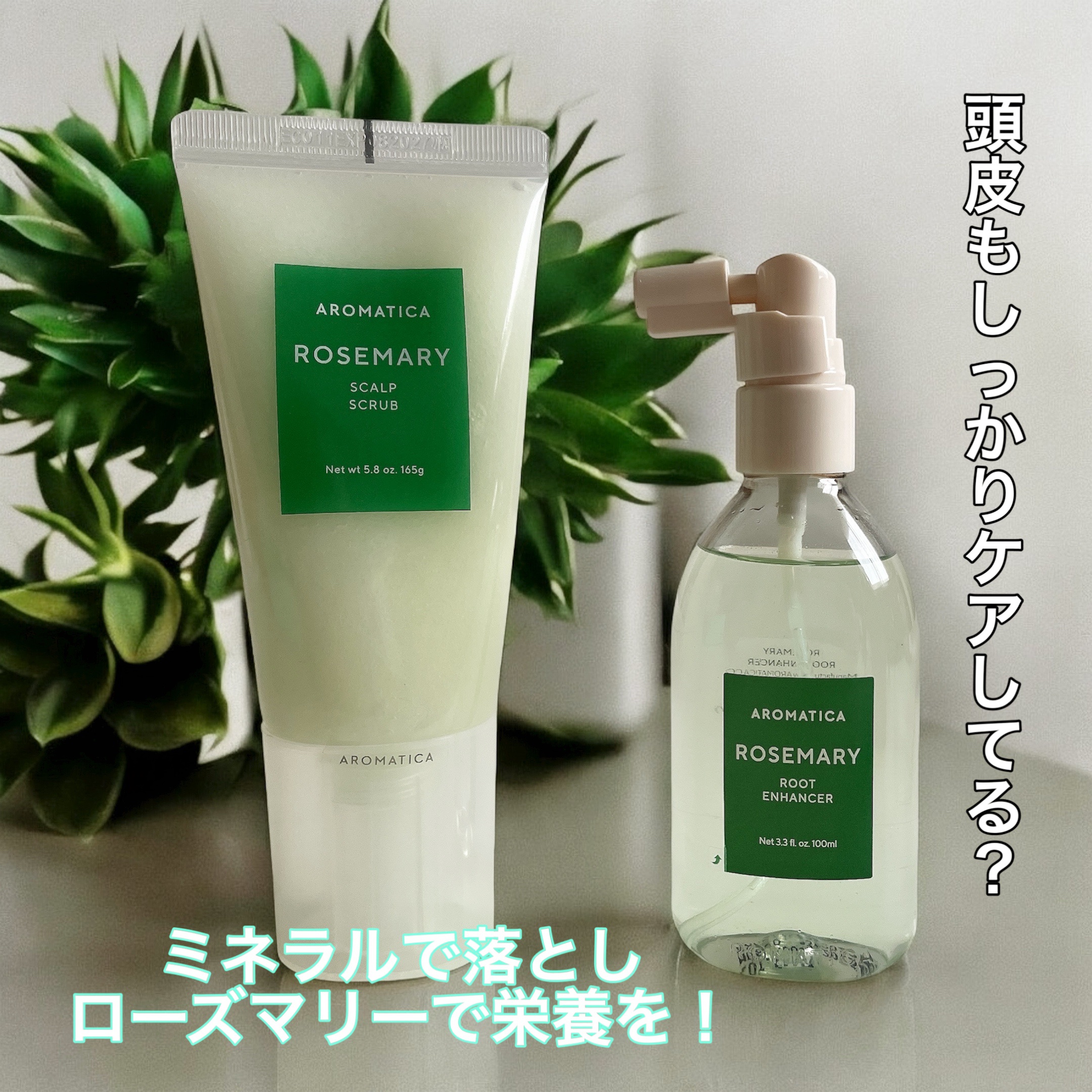 AROMATICA ローズマリースカルプスクラブ＆ローズマリールートエンハンサー✨

━━━━━

頭皮のにおいが気になる。
抜け毛が気になる。
汗や皮脂でべたつく季節に。

私の最近の悩みは、とにかく頭(頭皮)がかゆい！！
寝て起きた時〜