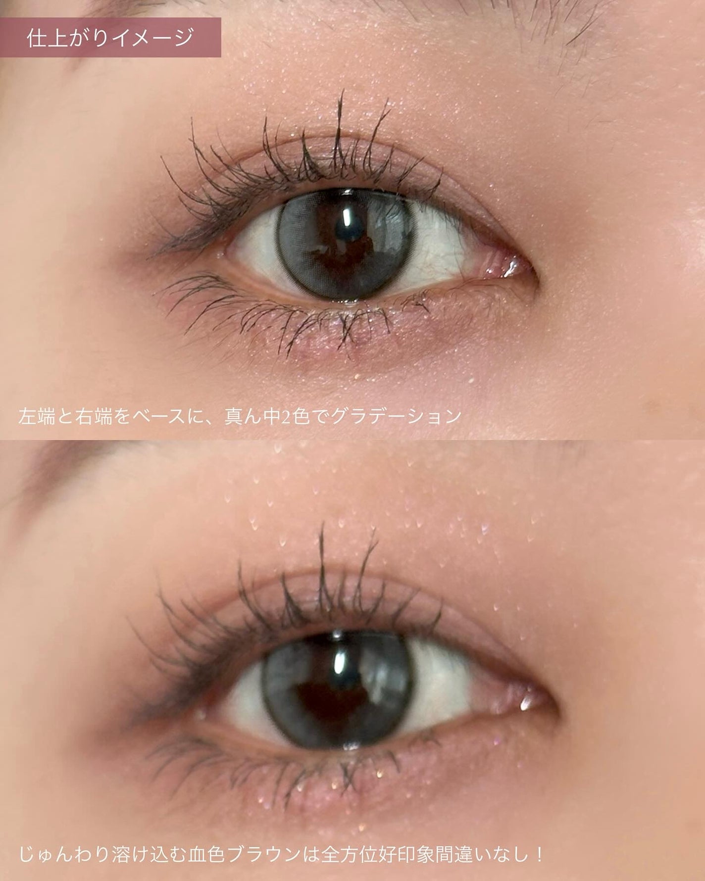 ケイト メロウブラウンアイズ/KATE/アイシャドウパレットを使ったクチコミ(4枚目)