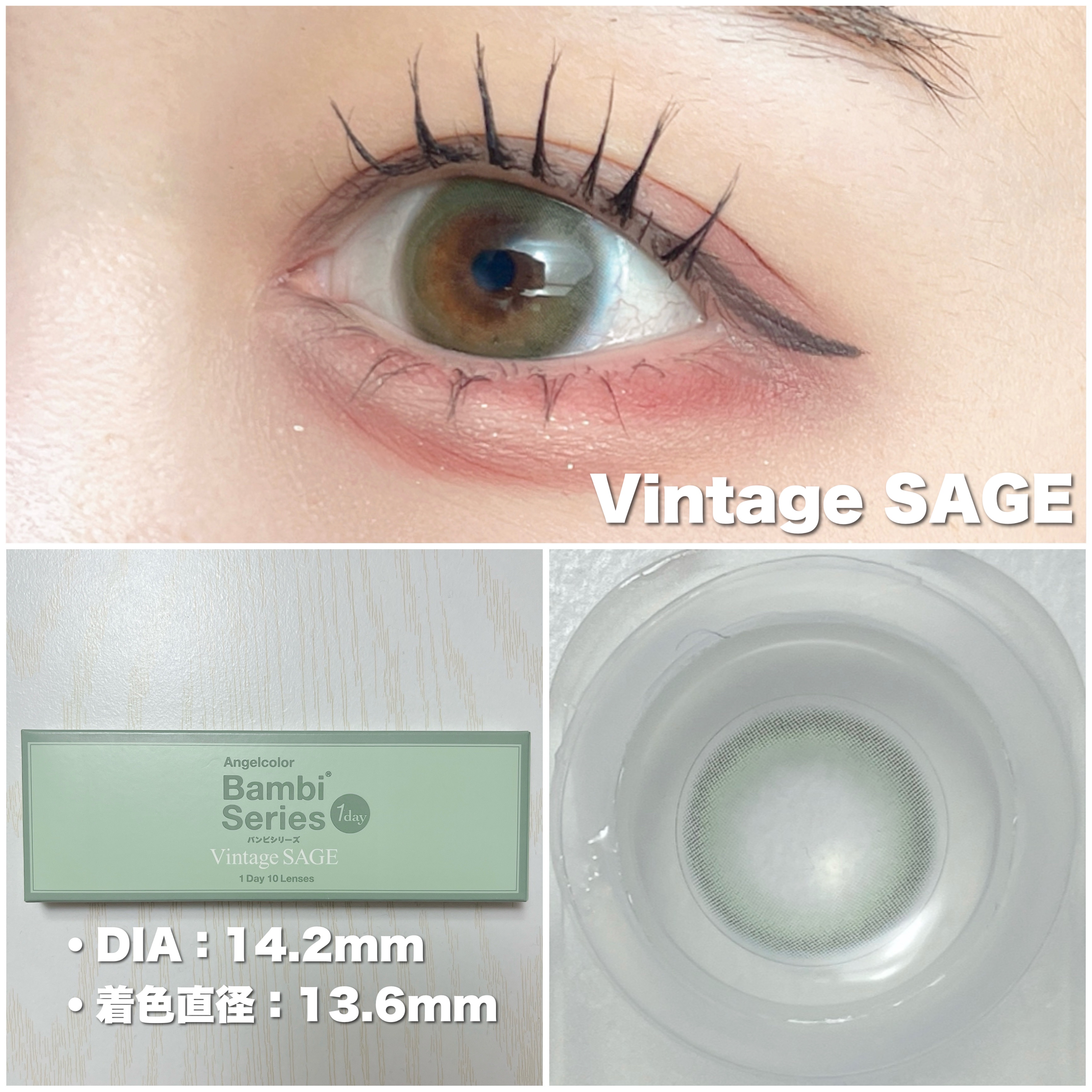 Angelcolor Bambi Series Vintage 1day/AngelColor/ワンデー（１DAY）カラコンを使ったクチコミ（3枚目）