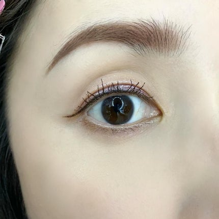 アーティストカラーペンシル エクストリーム/MAKE UP FOR EVER/リップライナーを使ったクチコミ(3枚目)