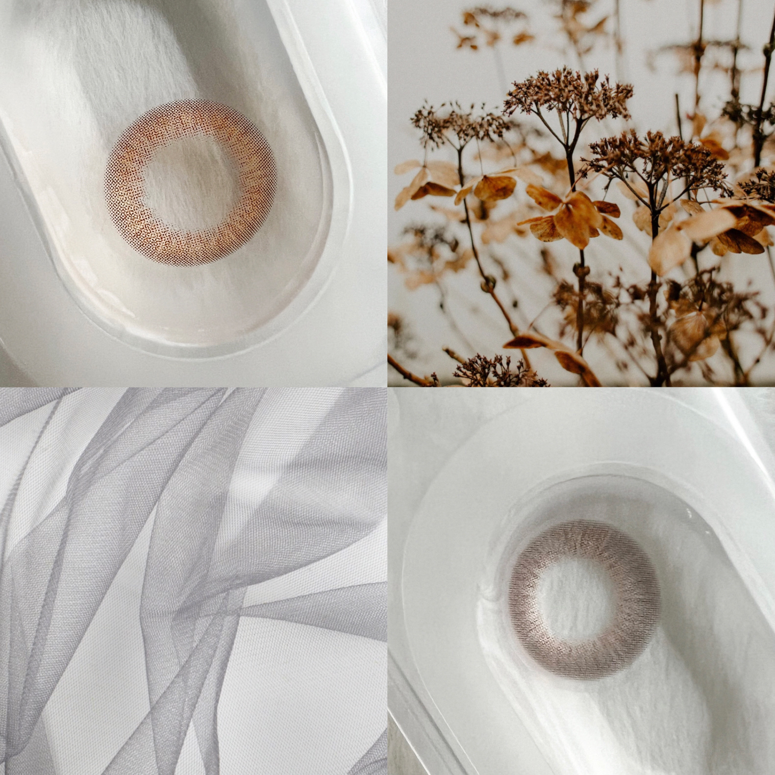 CLASSIMYSTIC/Classilens/１ヶ月（１MONTH）カラコンを使ったクチコミ（3枚目）