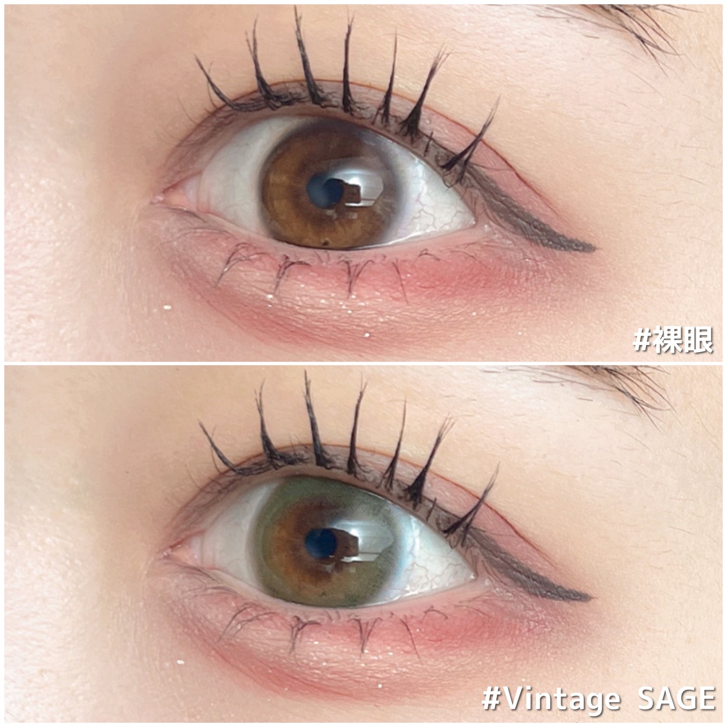 Angelcolor Bambi Series Vintage 1day/AngelColor/ワンデー(1DAY)カラコンを使ったクチコミ(5枚目)