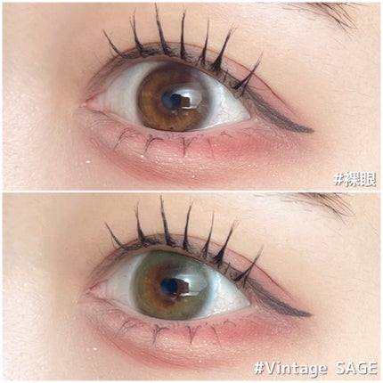 Angelcolor Bambi Series Vintage 1day/AngelColor/ワンデー(1DAY)カラコンを使ったクチコミ(5枚目)