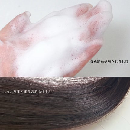 ストレートシャンプー/ストレートトリートメント/Straine/市販シャンプーを使ったクチコミ(3枚目)