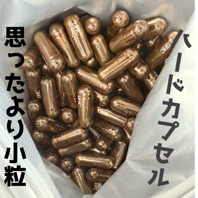 DHC ヘム鉄/DHC/健康サプリメントを使ったクチコミ(2枚目)