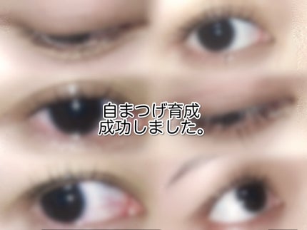 ラッシュジェリードロップ EX/MAJOLICA MAJORCA/まつげ美容液を使ったクチコミ(1枚目)