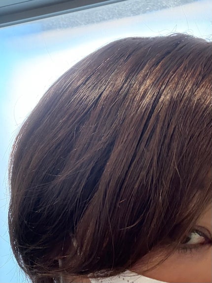 ストレートシャンプー/ストレートトリートメント ホワイトブロッサムの香り/Straine/市販シャンプーを使ったクチコミ(2枚目)