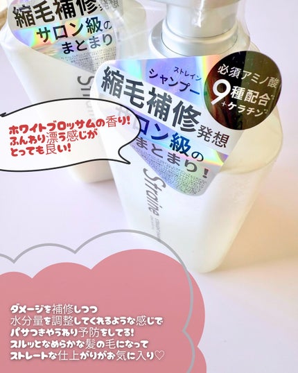 ã¹ãã¬ãŒãã·ã£ã³ããŒ/ã¹ãã¬ãŒãããªãŒãã¡ã³ã/Straine/åžè²©ã·ã£ã³ããŒã䜿ã£ãã¯ãã³ãïŒ4æç®ïŒ