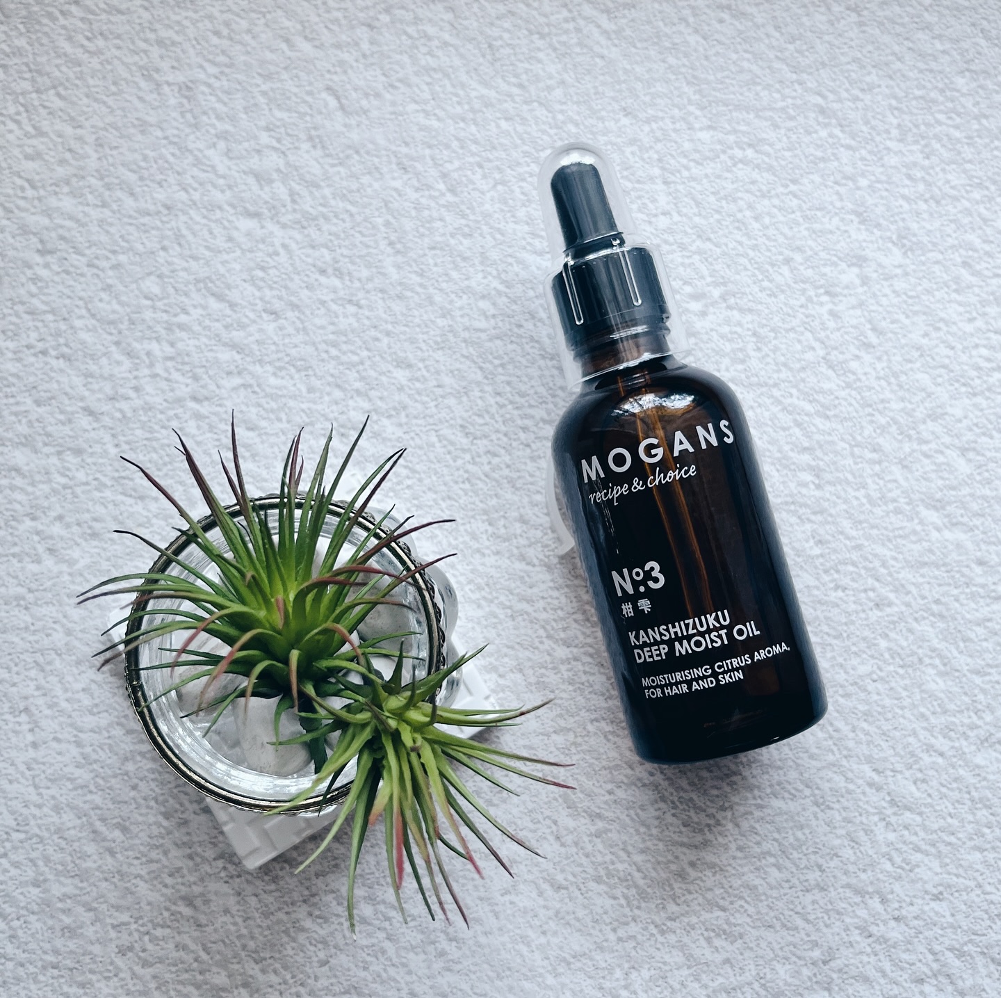 ディープモイストオイル/MOGANS/ヘアオイルを使ったクチコミ（1枚目）