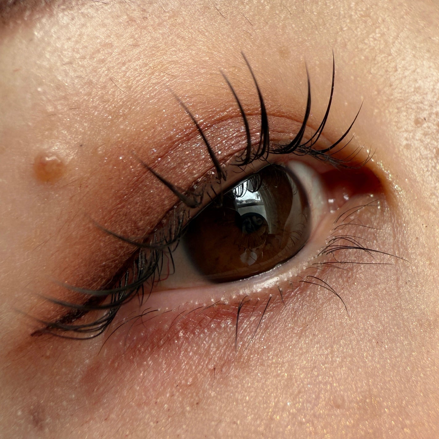 プレスド アイシャドー(レフィル)/shu uemura/単色アイシャドウを使ったクチコミ(1枚目)