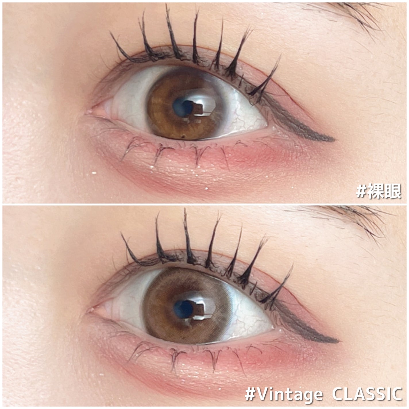 Angelcolor Bambi Series Vintage 1day/AngelColor/ワンデー(1DAY)カラコンを使ったクチコミ(4枚目)