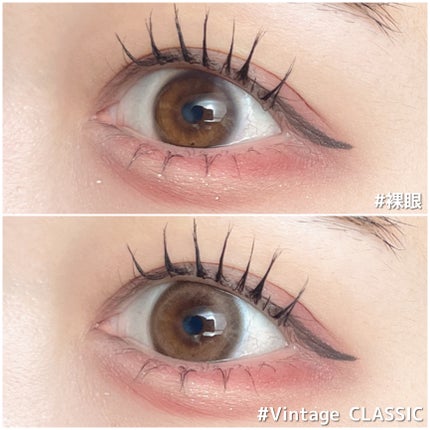 Angelcolor Bambi Series Vintage 1day/AngelColor/ワンデー(1DAY)カラコンを使ったクチコミ(4枚目)