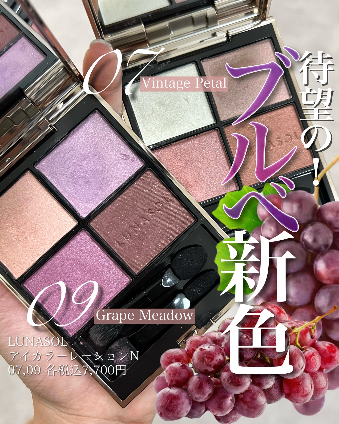 ルナソル アイカラーレーションN/LUNASOL/アイシャドウパレットを使ったクチコミ（1枚目）