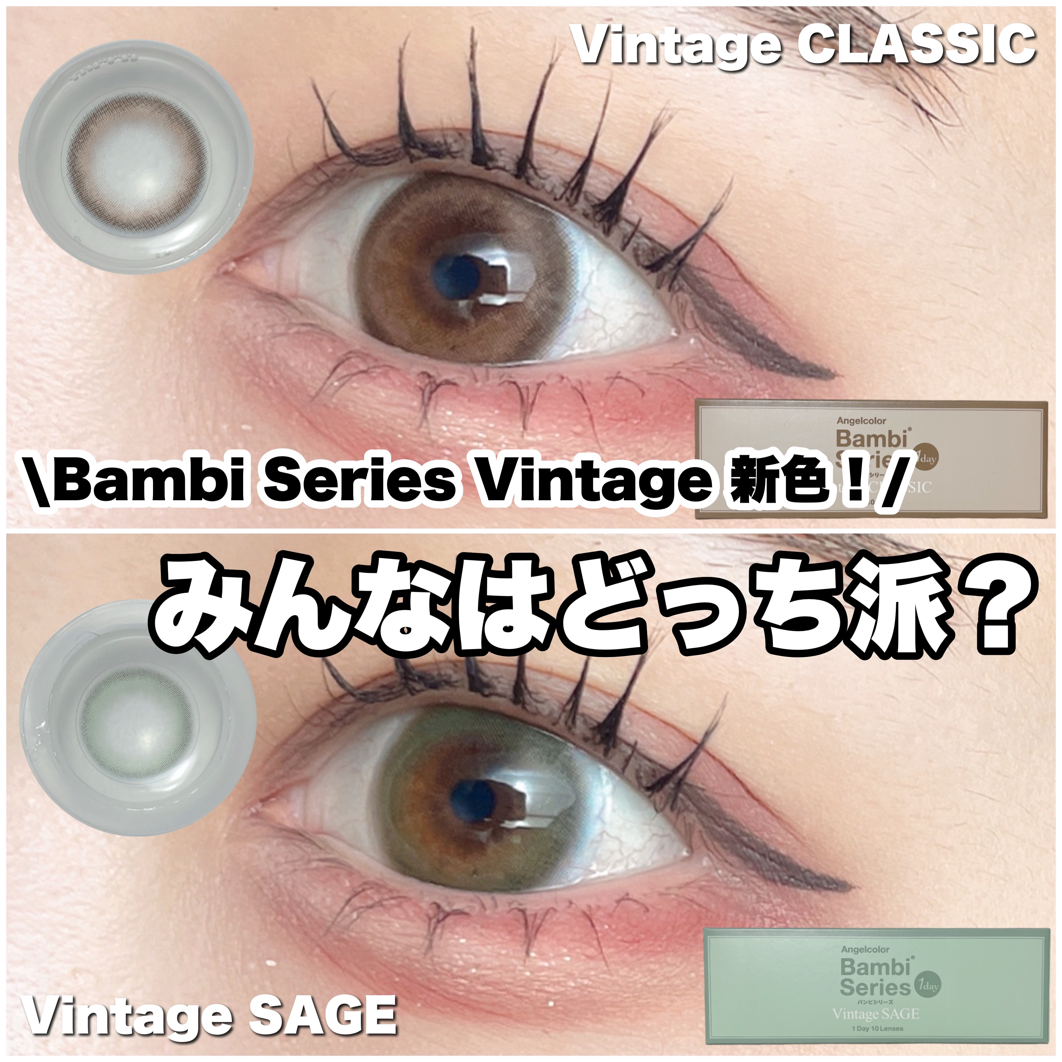 Angelcolor Bambi Series Vintage 1day/AngelColor/ワンデー（１DAY）カラコンを使ったクチコミ（1枚目）