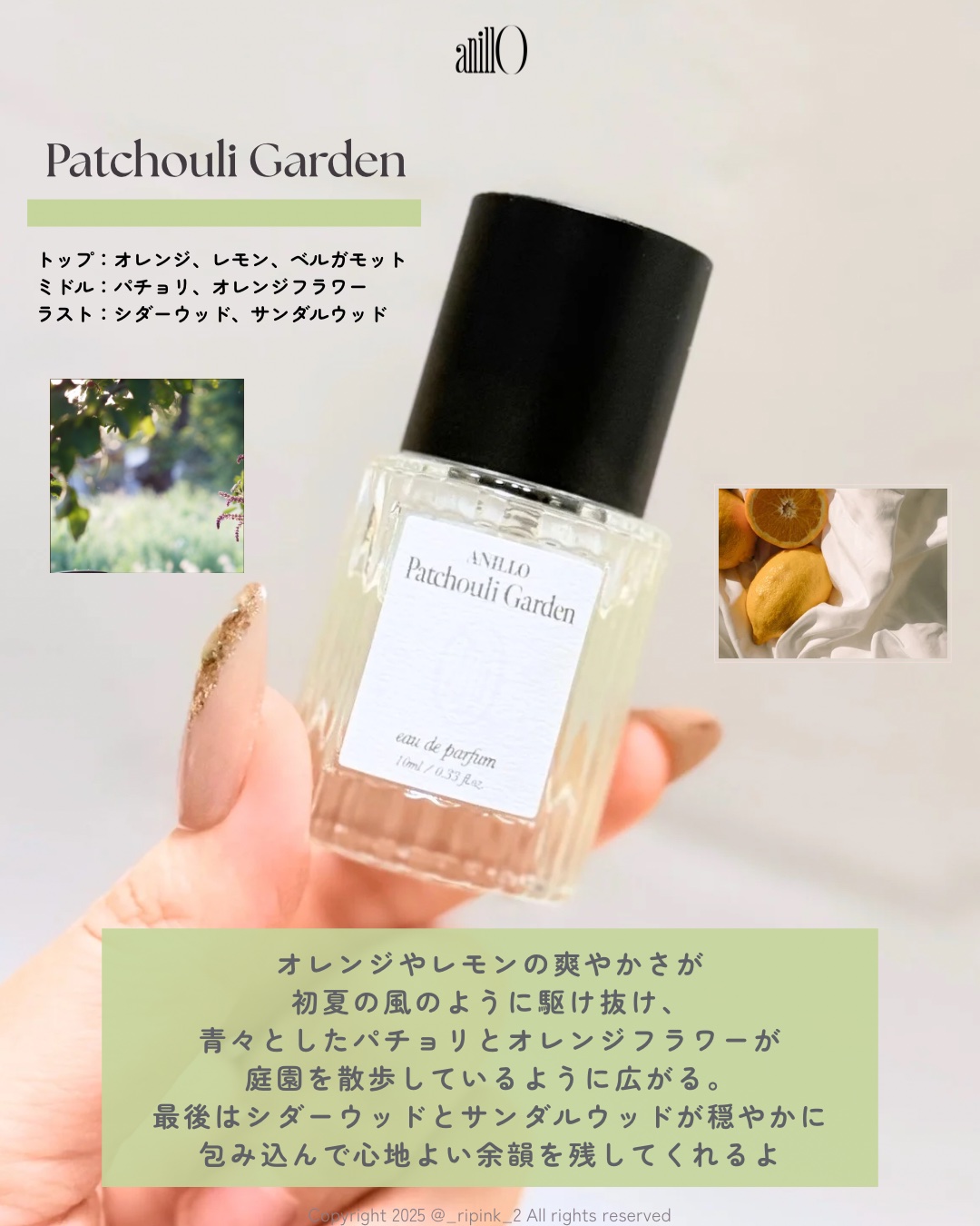 オードパルファム　Lime Sunday/ANILLO/香水(レディース)を使ったクチコミ（3枚目）