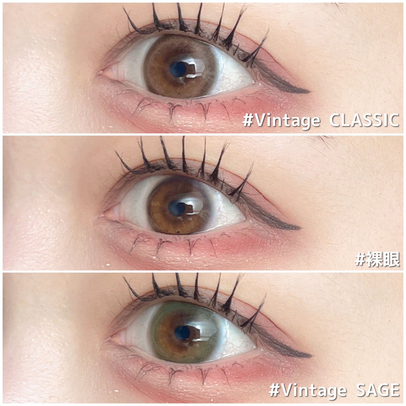 Angelcolor Bambi Series Vintage 1day/AngelColor/ワンデー(1DAY)カラコンを使ったクチコミ(6枚目)