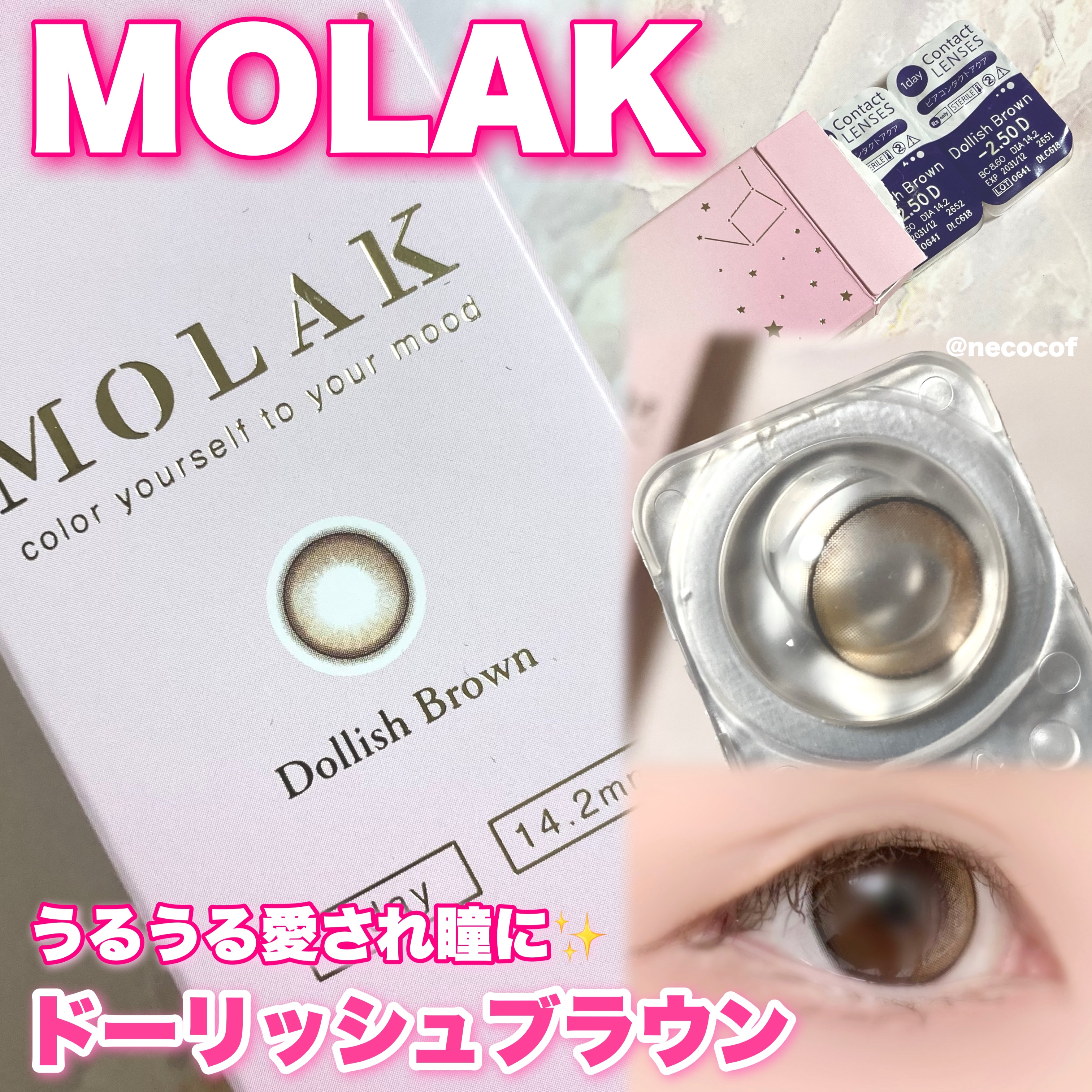 MOLAK 1day/MOLAK/ワンデー（１DAY）カラコンを使ったクチコミ（1枚目）