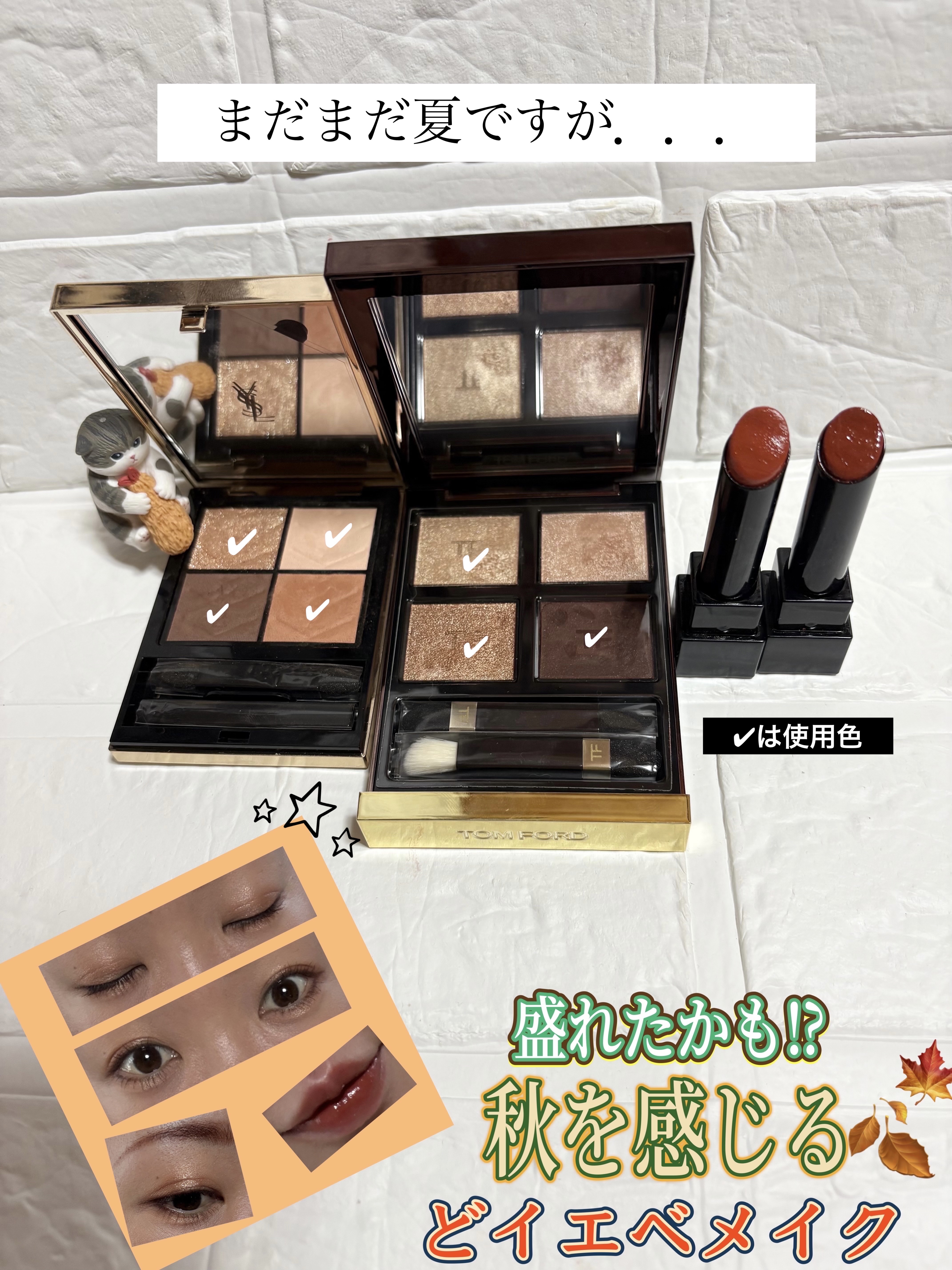 アイ カラー クォード/TOM FORD BEAUTY/アイシャドウパレットを使ったクチコミ（1枚目）