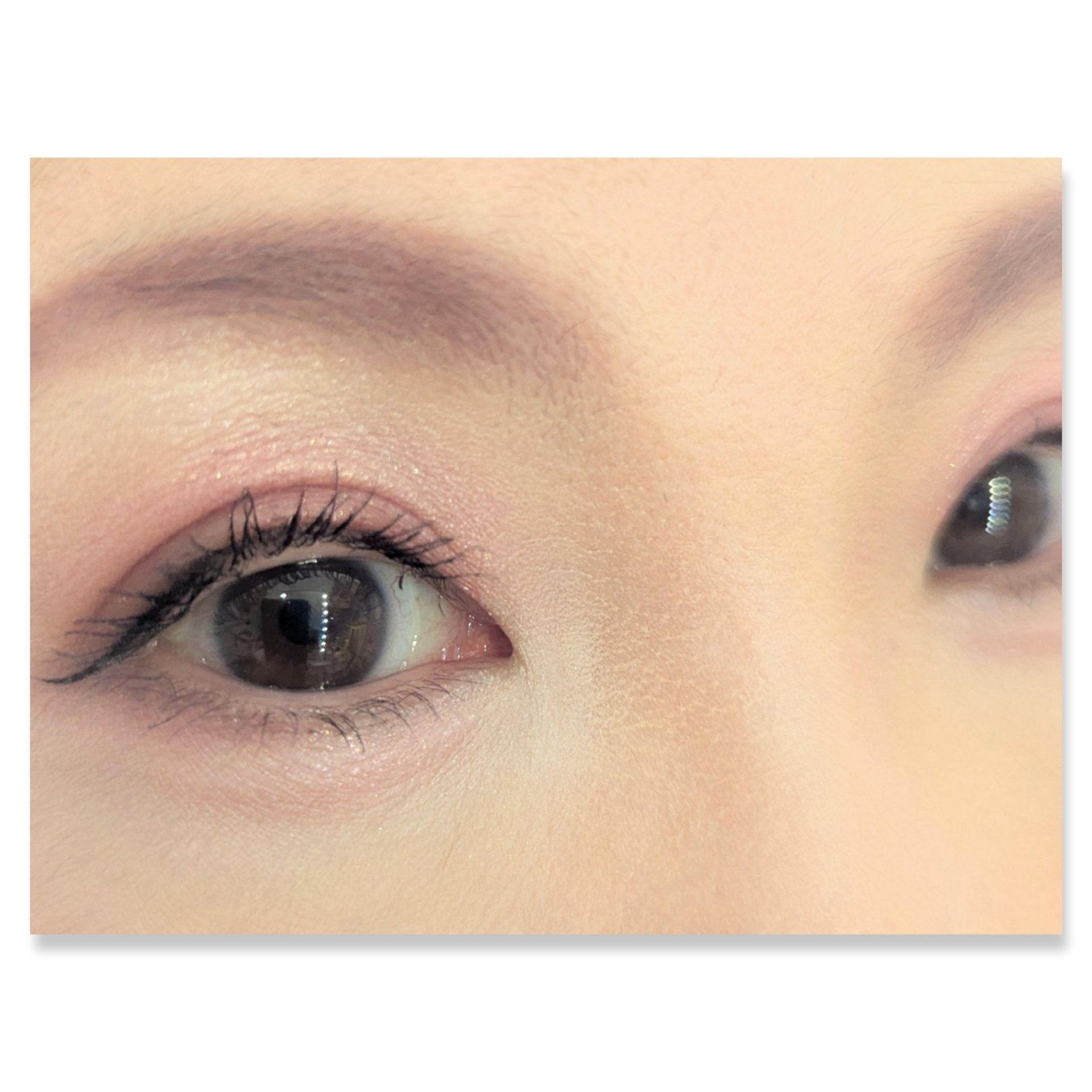 シャドーカスタマイズ/MAJOLICA MAJORCA/単色アイシャドウを使ったクチコミ（2枚目）