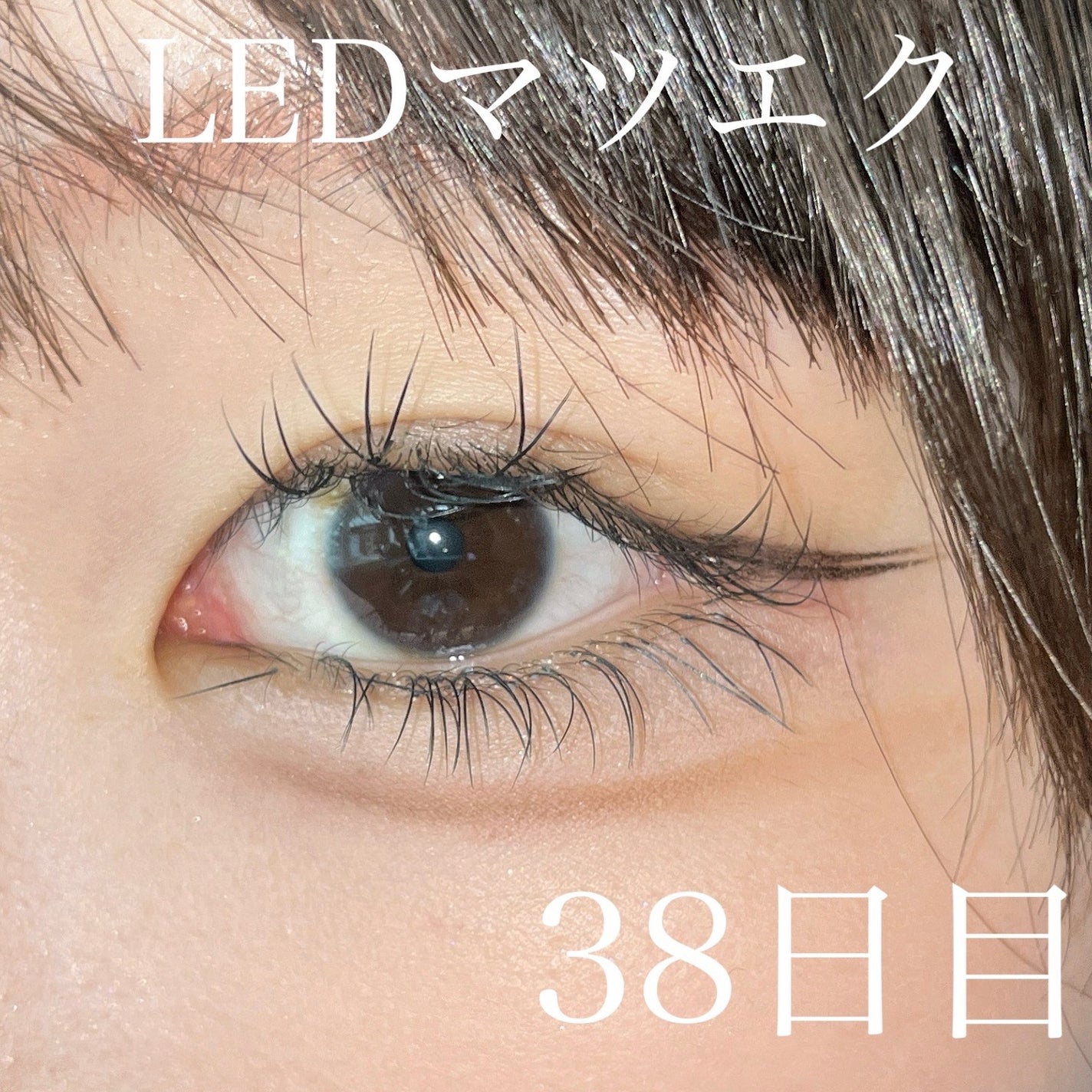 アンダーアイメーカー/dasique/アイシャドウパレットを使ったクチコミ(1枚目)