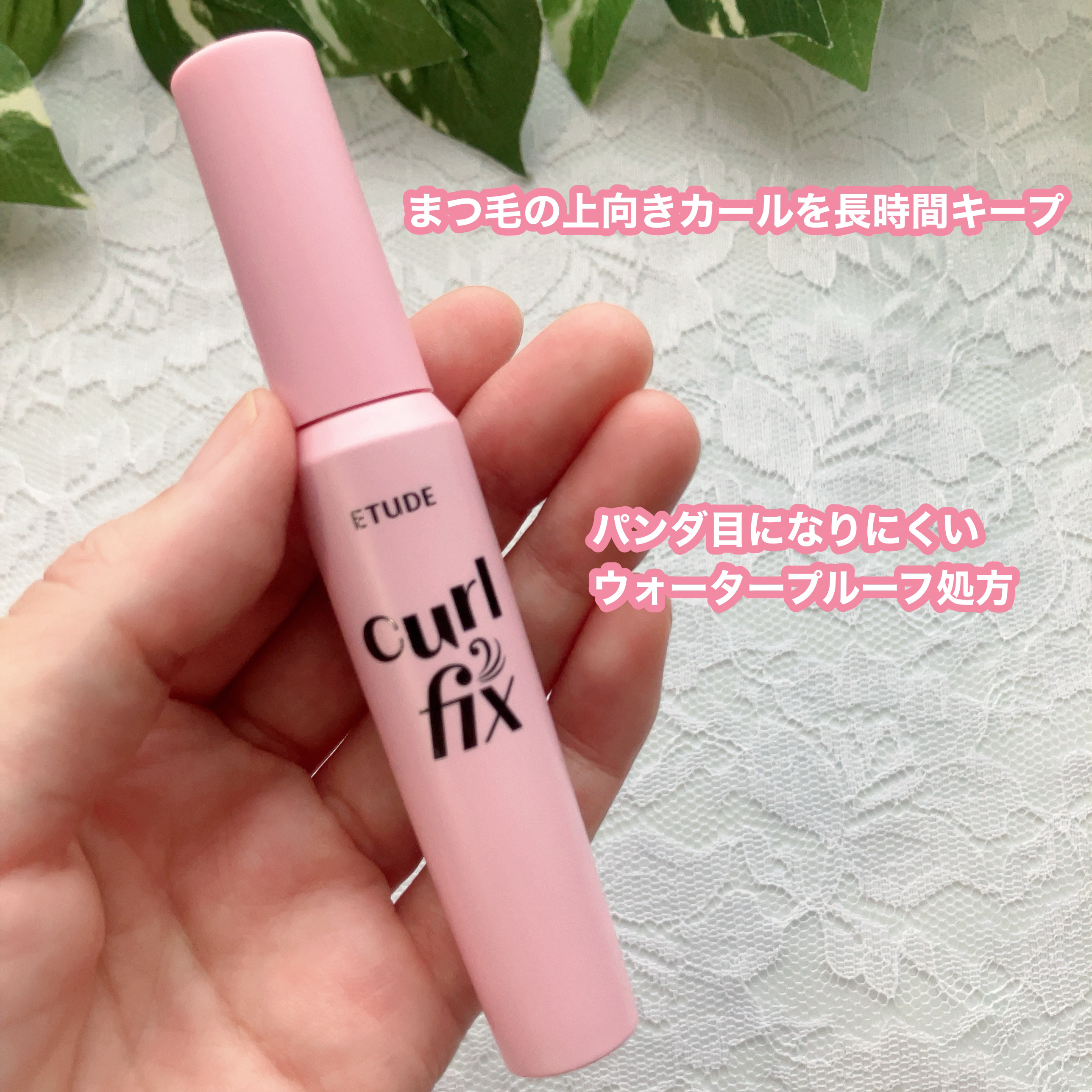 カールフィックスマスカラ/ETUDE/マスカラを使ったクチコミ（2枚目）