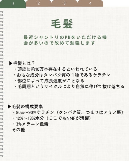 を使ったクチコミ(2枚目)