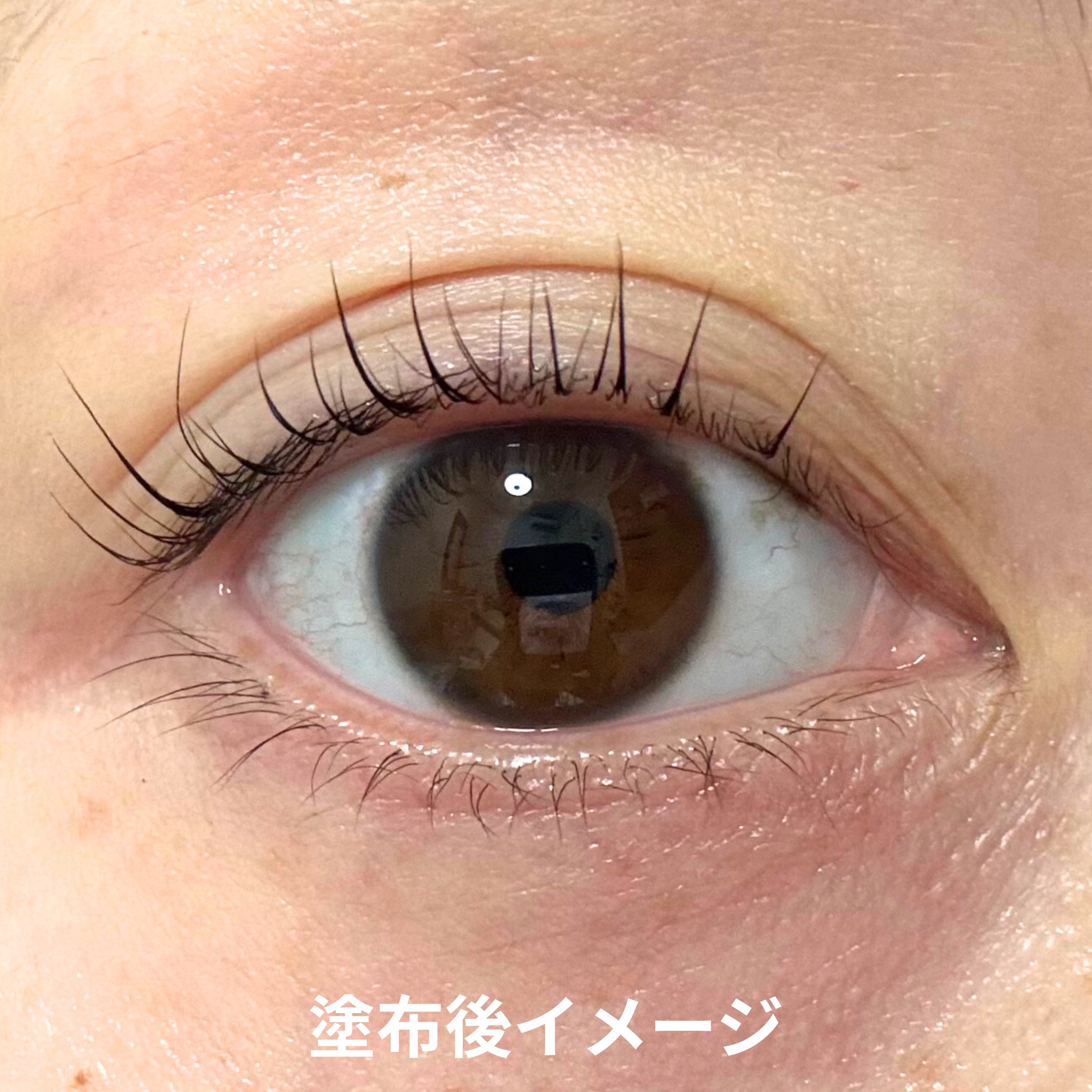 BONNY LASHES premium/FABIUS/まつげ美容液を使ったクチコミ（3枚目）