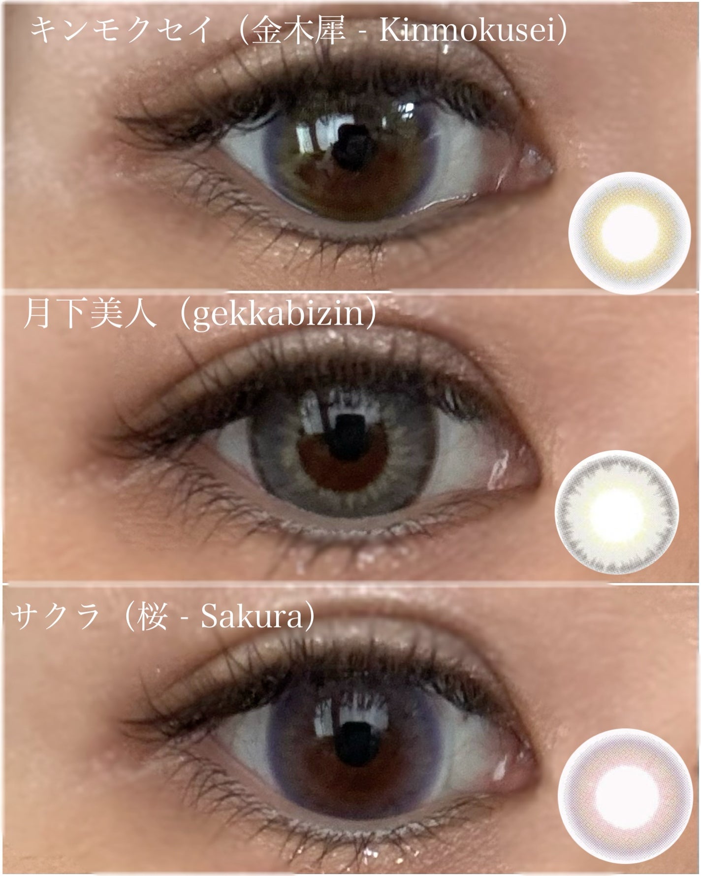 Bishonenga hanairo color contactlens/Bishonenga/カラーコンタクトレンズを使ったクチコミ(2枚目)