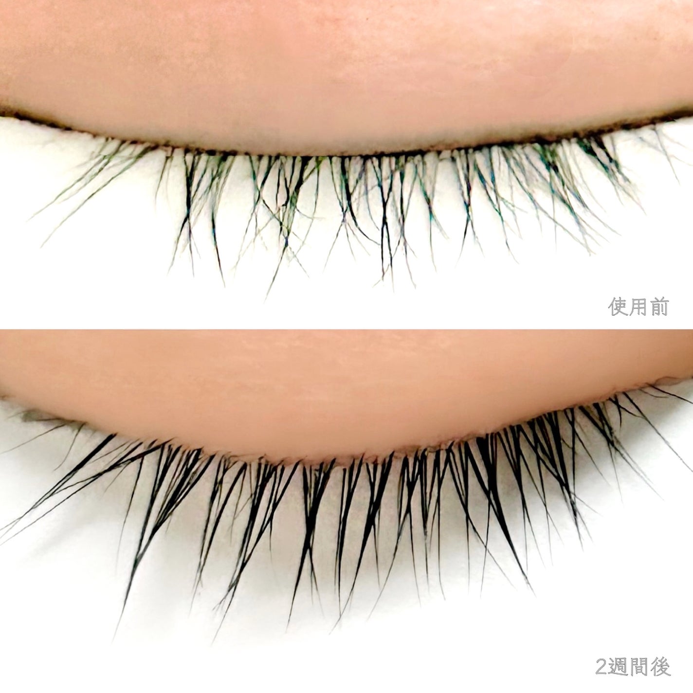 ロングアクティブアイラッシュセラム/COSNORI/まつげ美容液を使ったクチコミ(6枚目)