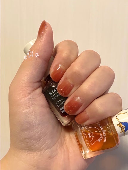 カラフルネイルズ/キャンメイク/マニキュアを使ったクチコミ(1枚目)