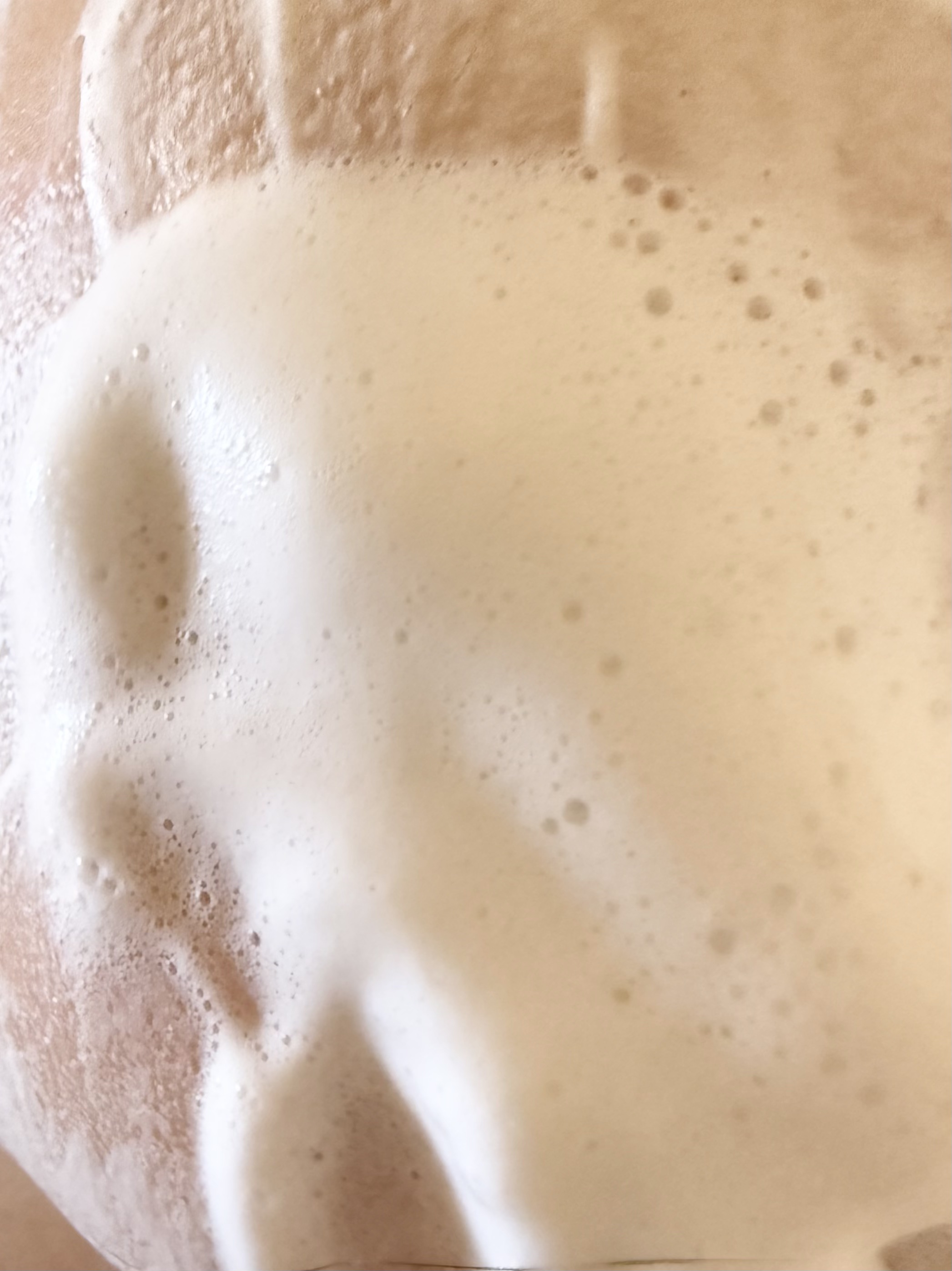 江戸こすめ 米ぬか洗顔/ロゼット/洗顔フォームを使ったクチコミ（3枚目）