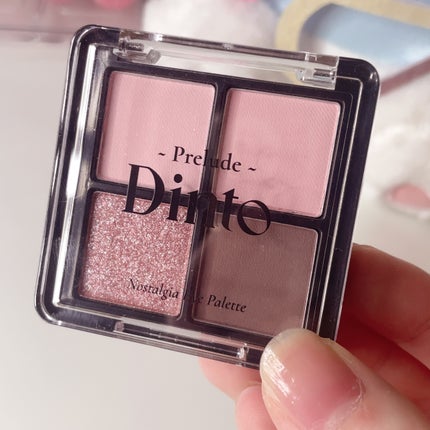 プレリュード・ディント ノスタルジア アイシャドウパレット/Dinto/アイシャドウパレットを使ったクチコミ(6枚目)