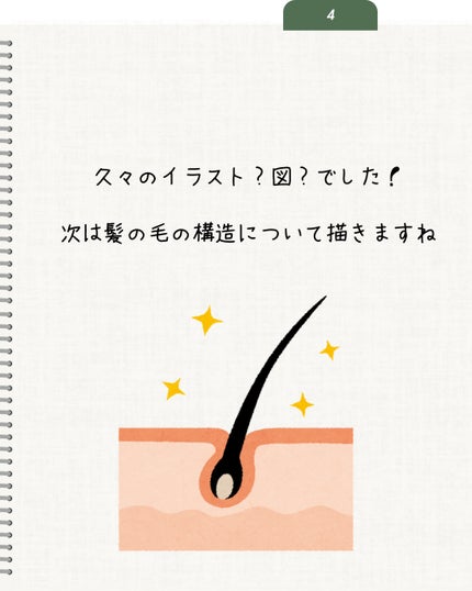 elan_lotus on LIPS 「最近シャントリのPRをいただける機会が多いので改めて勉強します..」(5枚目)