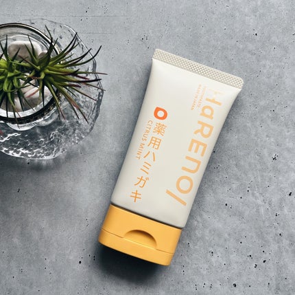 HaRENO/TOOTHPASTE 薬用ハミガキ/HaRENO/歯磨き粉を使ったクチコミ(3枚目)