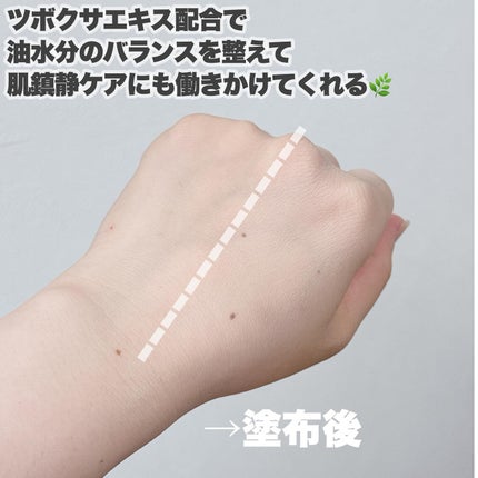 シカマヌ セラム イン マット クッション No.19/parnell/クッションファンデーションの画像