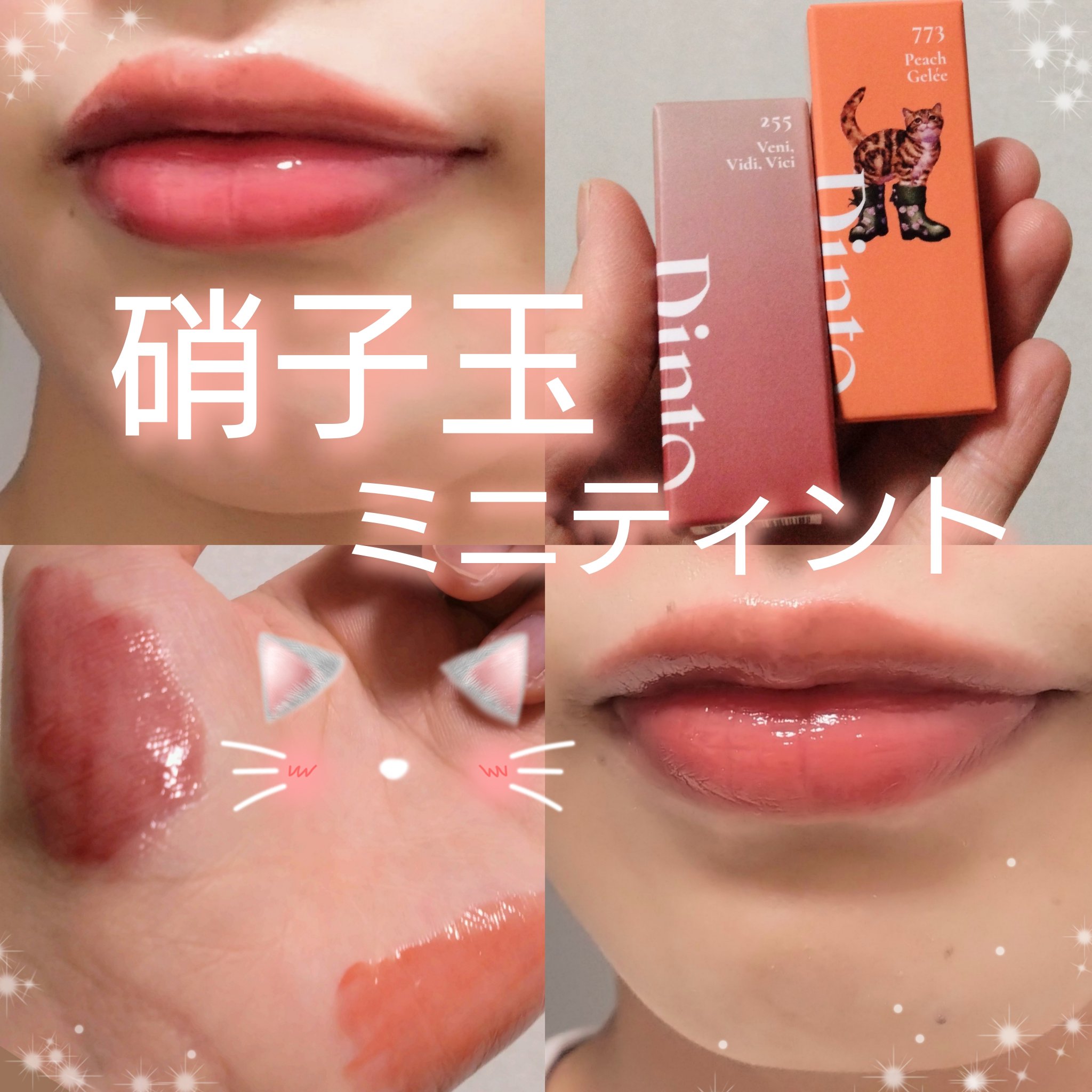 ブラーグローイミニリップティント/Dinto/リップティントを使ったクチコミ（1枚目）