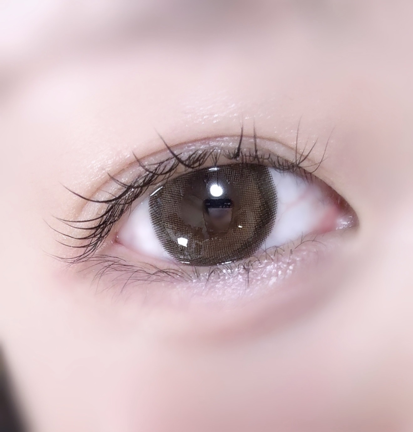 feliamo 1day タルトタタン/feliamo/ワンデー（１DAY）カラコンを使ったクチコミ（1枚目）