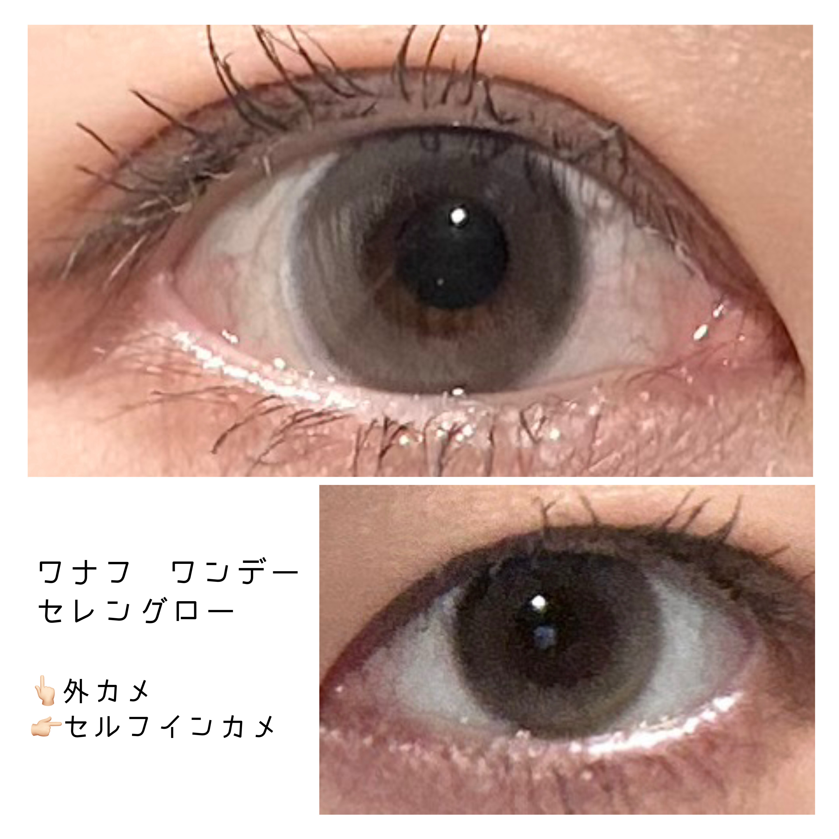 WANAF 1day セレングロー(SELENE GLOW)/WANAF/ワンデー（１DAY）カラコンを使ったクチコミ（1枚目）