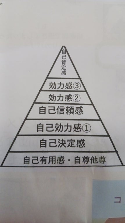 サンテ ボーティエ(医薬品)/参天製薬/その他を使ったクチコミ(1枚目)