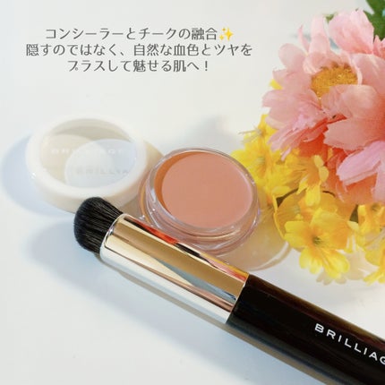 カモフラージュ コンシーラーチーク 01/ブリリアージュ/クリームコンシーラーを使ったクチコミ(2枚目)