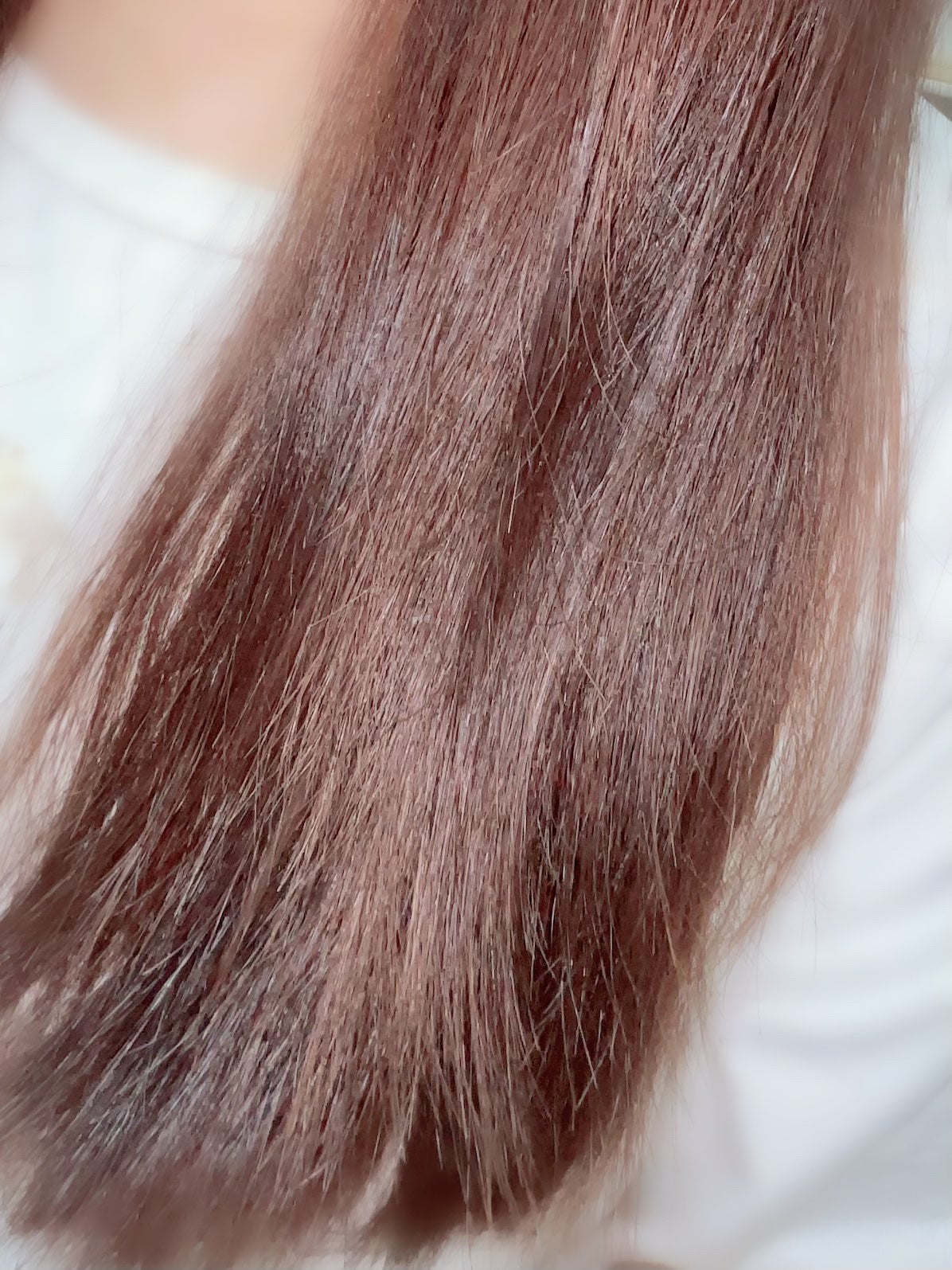 モイストシャンプー/トリートメント/I'm La Floria(アイム ラ フロリア)/市販シャンプーを使ったクチコミ(3枚目)