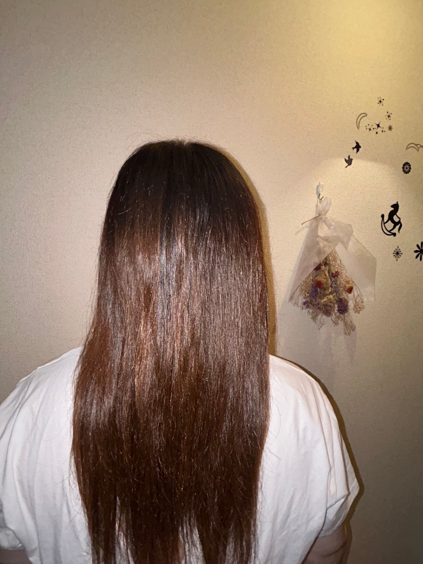 リポ ラボ ケラチンセラム ジェルモイスト シャンプー /トリートメントスリークリペア*/LIPO LABO/市販シャンプーを使ったクチコミ(8枚目)