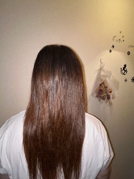 リポ ラボ ケラチンセラム ジェルモイスト シャンプー /トリートメントスリークリペア*/LIPO LABO/市販シャンプーを使ったクチコミ(8枚目)