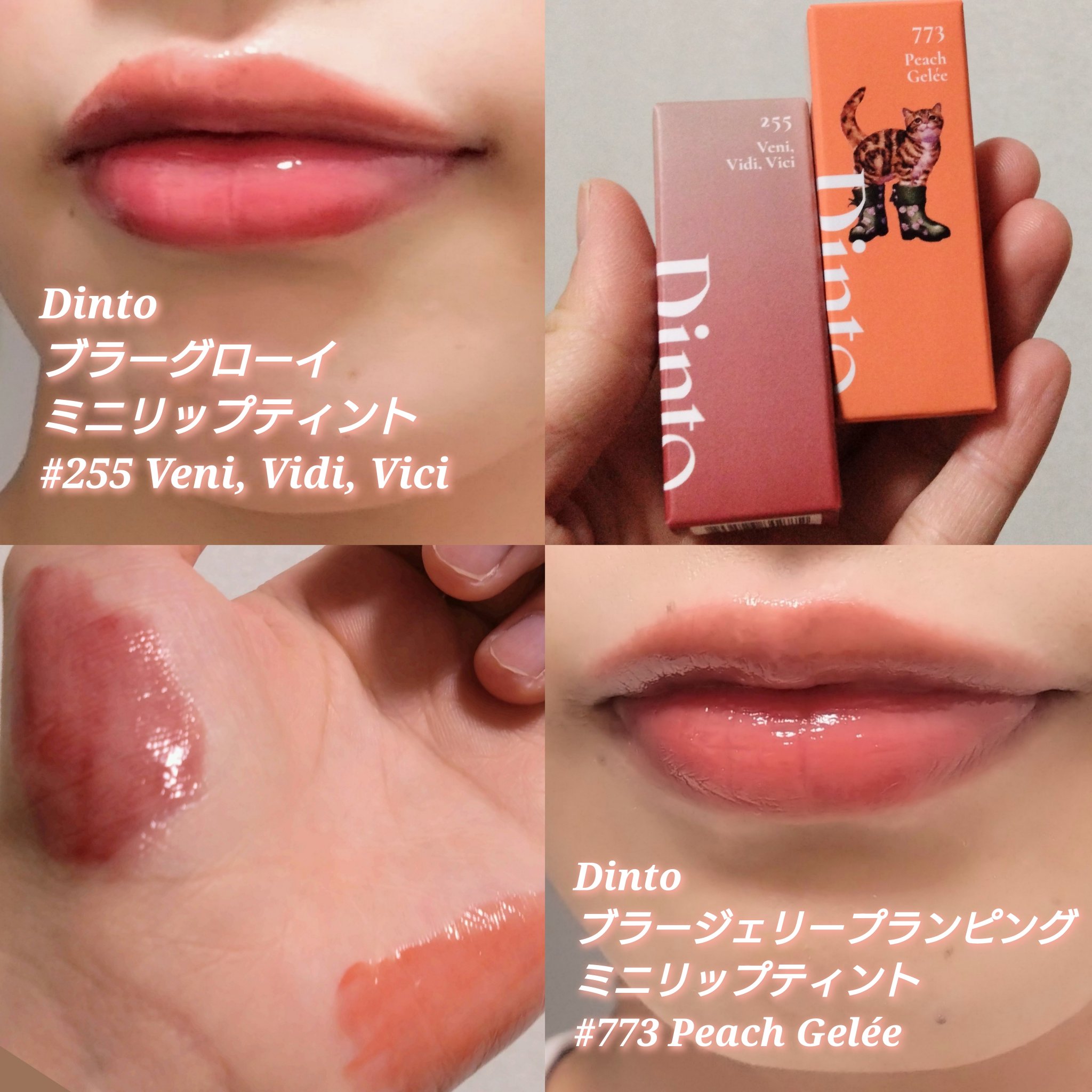 ブラーグローイミニリップティント/Dinto/リップティントを使ったクチコミ（2枚目）